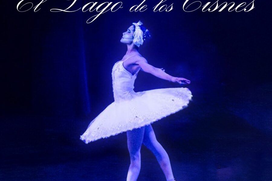 Audiciones para el «Lago de los cisnes»